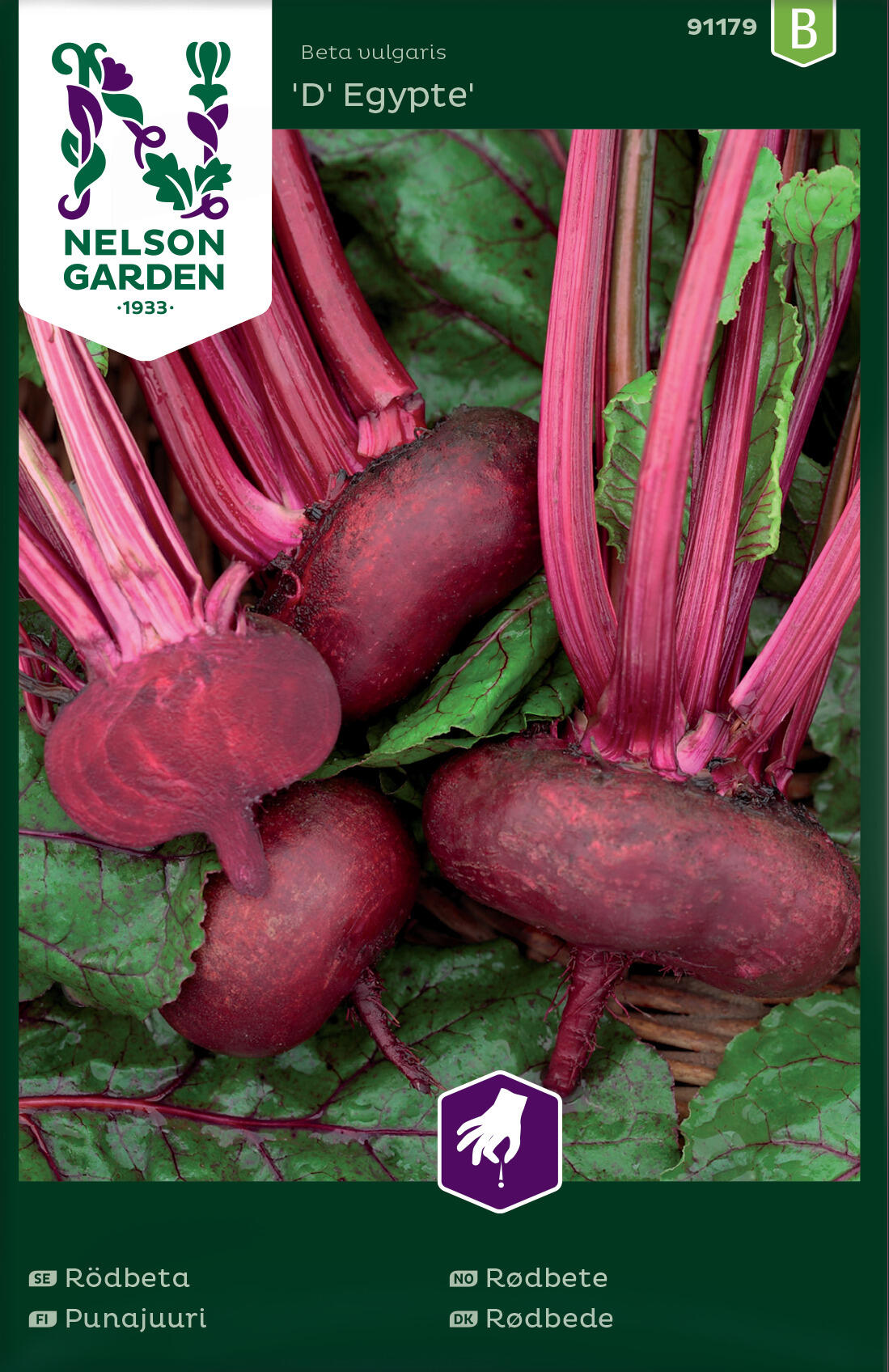 Rødbete 'D' Egypte'